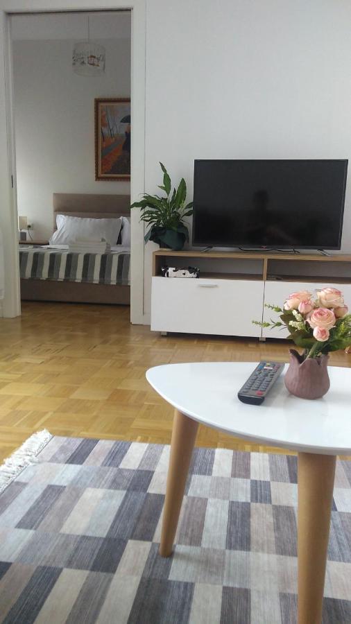 City Center Cute And Comfy Apartment - Ajia Apartments Tirana Kültér fotó